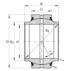 關(guān)節(jié)軸承 GE20-HO-2RS, 根據(jù) DIN ISO 12 240-1 標(biāo)準(zhǔn), 需維護(hù)，兩側(cè)唇密封