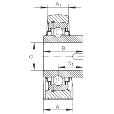 直立式軸承座單元 RASEL40-N, 鑄鐵軸承座，浮動(dòng)軸承，內(nèi)圈有驅(qū)動(dòng)槽，R 型密封